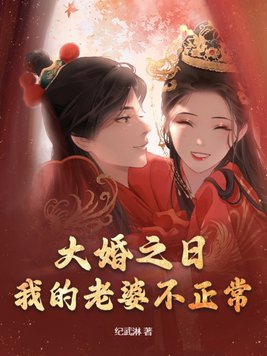 大婚之日我的老婆不正常在线阅读